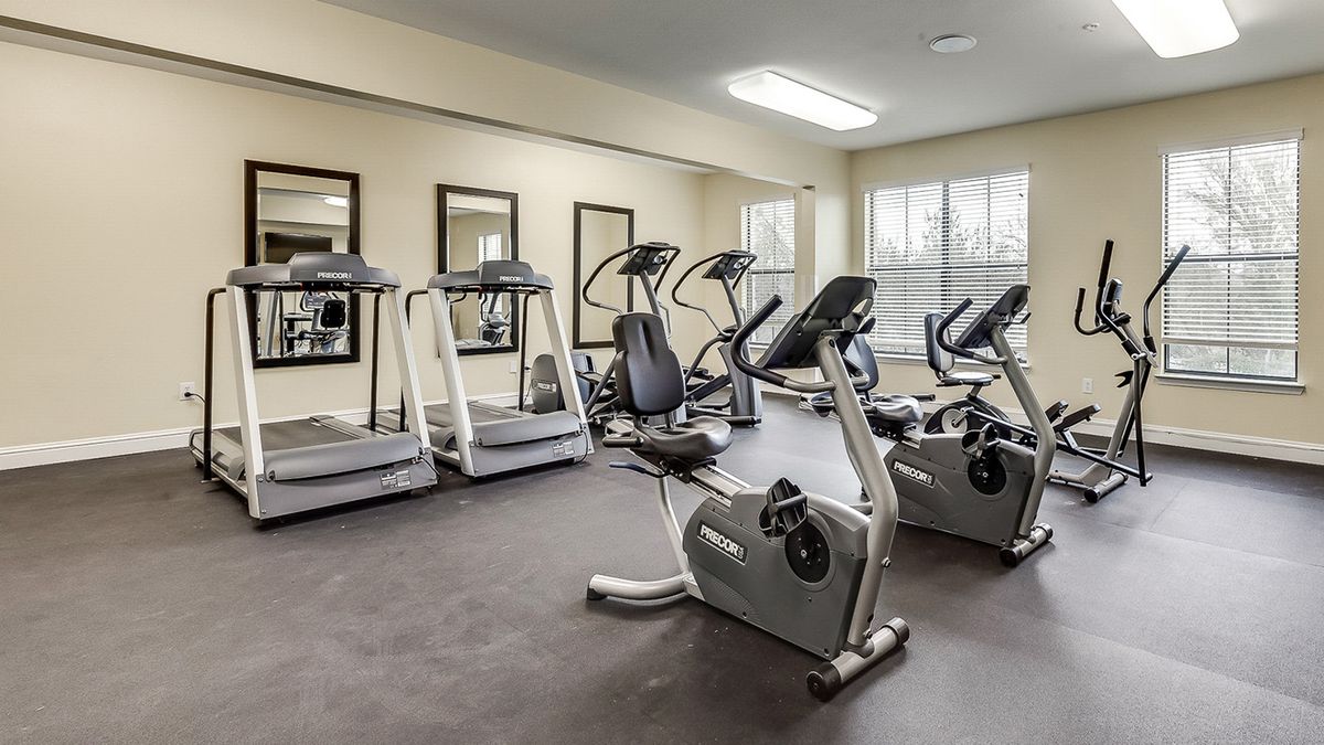 A well-equipped gym featuring treadmills and stationary bikes with wall mirrors.