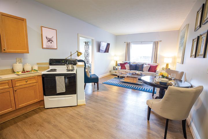 A cozy apartment featuring an open living room and kitchen with modern decor.