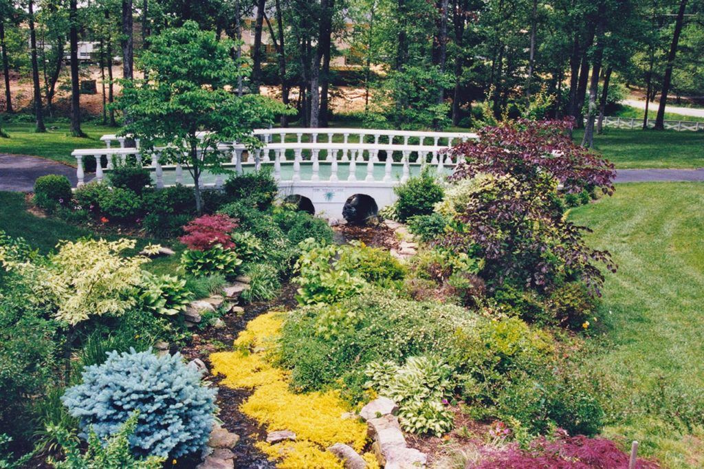 Fern Terrace Of Murray