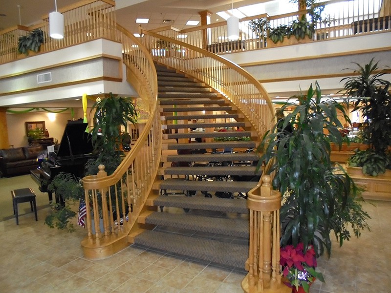 A beautifully designed wooden curved staircase in a spacious and well-lit interior, adorned with plants.