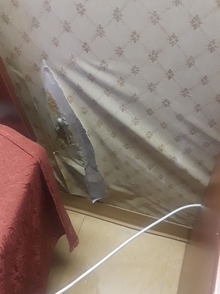 A sword mounted on a patterned wall, indoors.