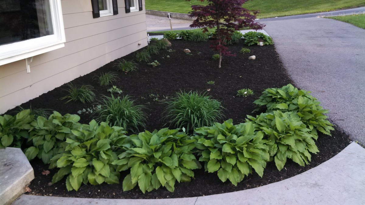 Scott's Place,  LLC