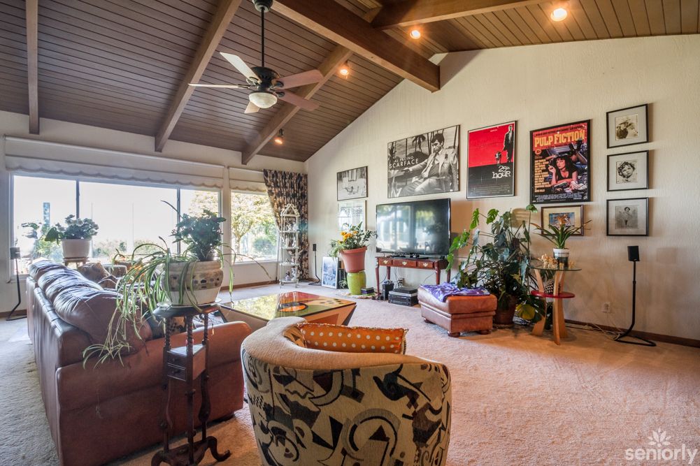 A cozy living room with a vaulted ceiling, filled with natural light and decorated with various artworks and plants.