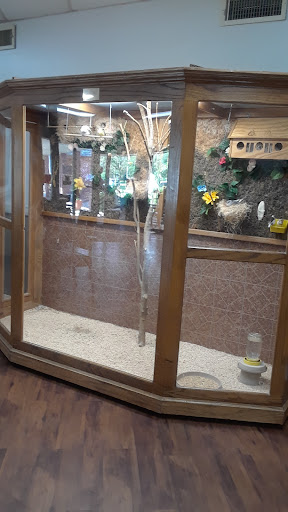 A wooden animal enclosure featuring a tree branch and decorative elements, designed for showcasing exotic wildlife.