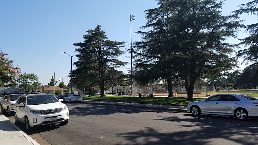 A sunny day at a park, featuring tall trees and parked cars.