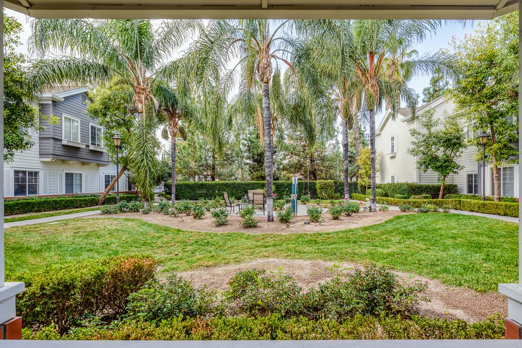 A well-maintained garden featuring palm trees and lush landscaping.