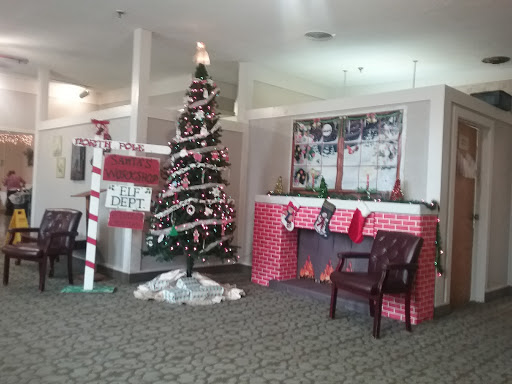 A cozy holiday setup featuring a decorated Christmas tree and a festive fireplace.