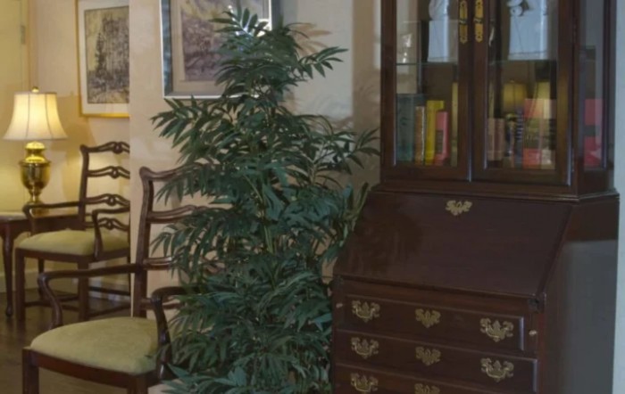 A living room corner with a leafy plant and wooden furniture, including a bookshelf filled with books.
