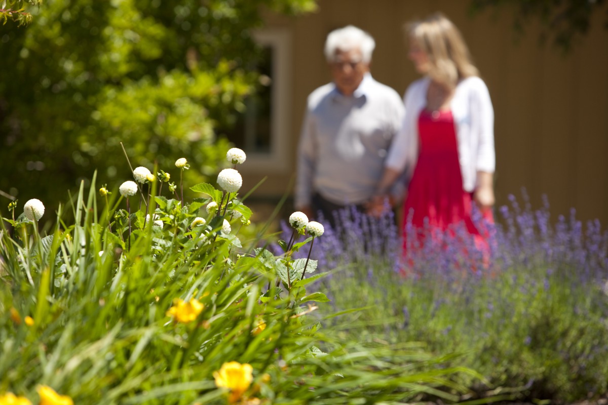 A couple holding hands while walking in a garden filled with blooming flowers.