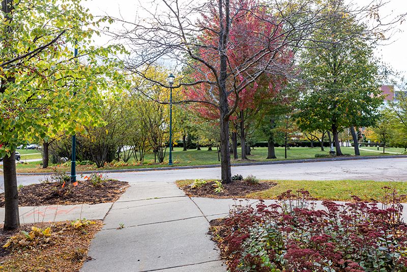 A picturesque autumn scene with colorful foliage lining a quiet sidewalk in a park.