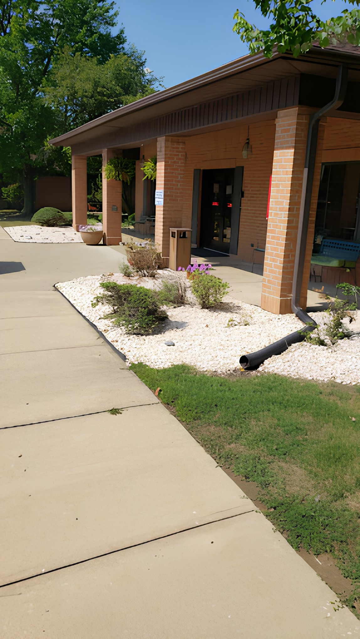A building entrance with landscaped bushes and a sidewalk.