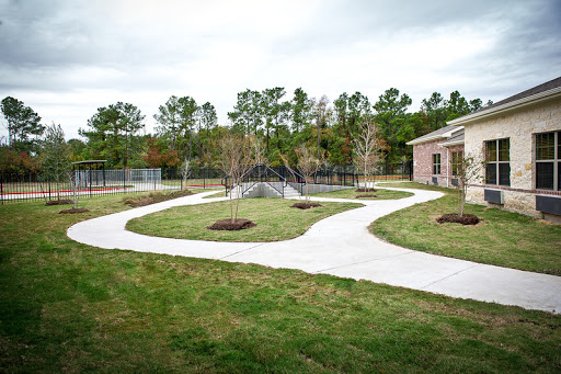 A serene outdoor space featuring curved pathways, trimmed lawns, and young trees.