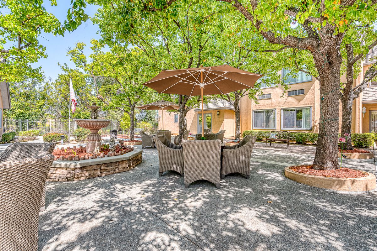 A sunny outdoor patio area with seating and a large umbrella, surrounded by trees and gardens.