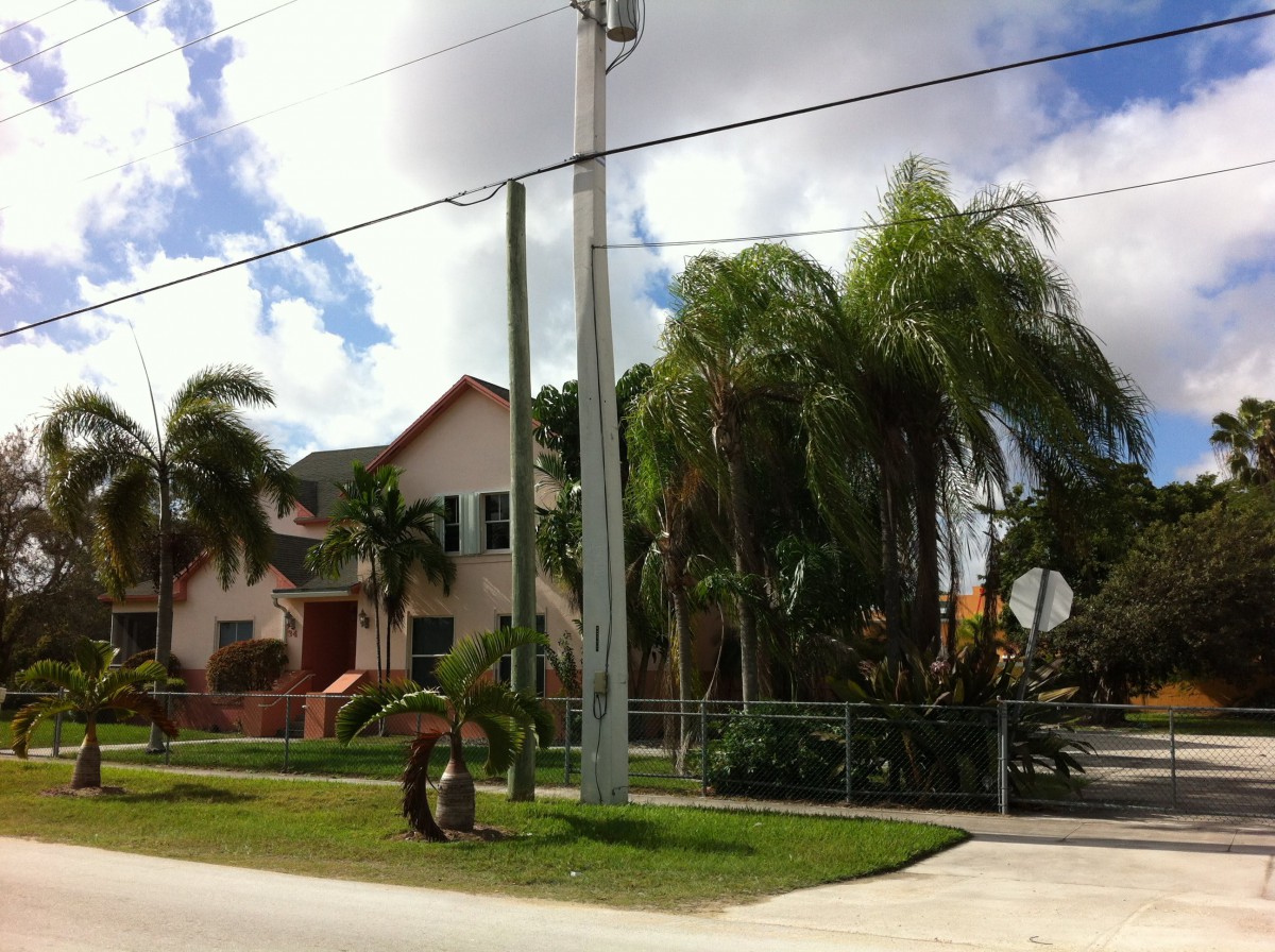 A suburban house surrounded by palm trees on a sunny day.