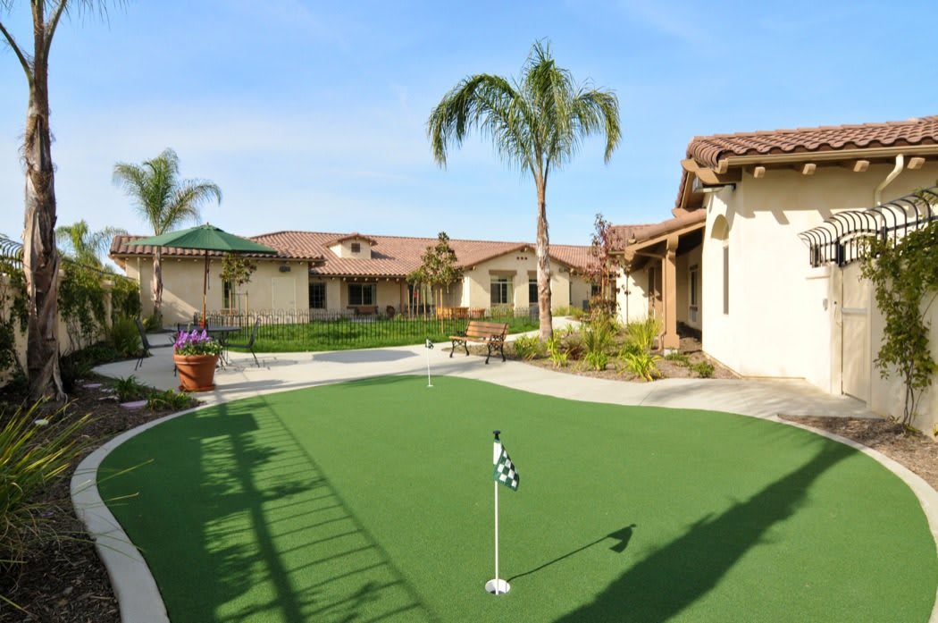 A sunny residential area with a small putting green and palm trees.