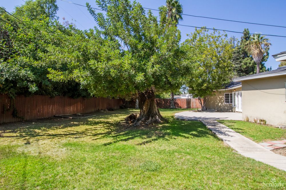 A sunny day in a residential yard featuring a large tree surrounded by grass.