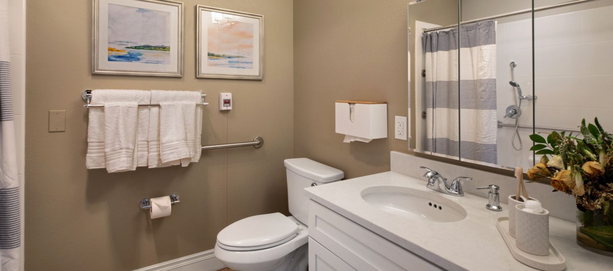 A neatly designed bathroom with a toilet, sink, and mirror.