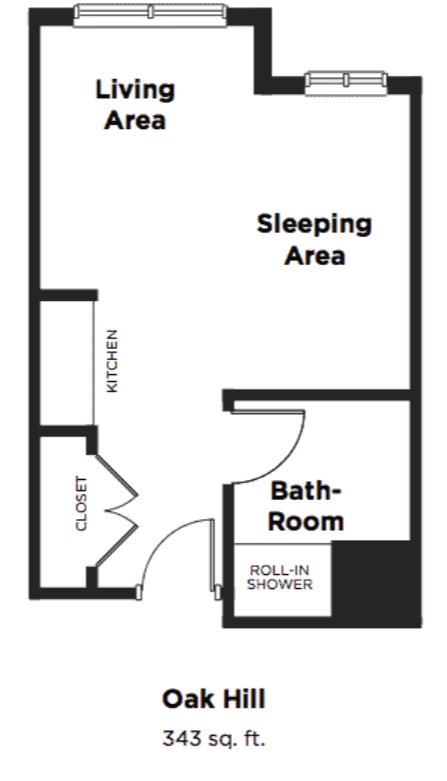 A simple floor plan of a studio apartment featuring a sleeping area, kitchen, closet, and bathroom with a roll-in shower.