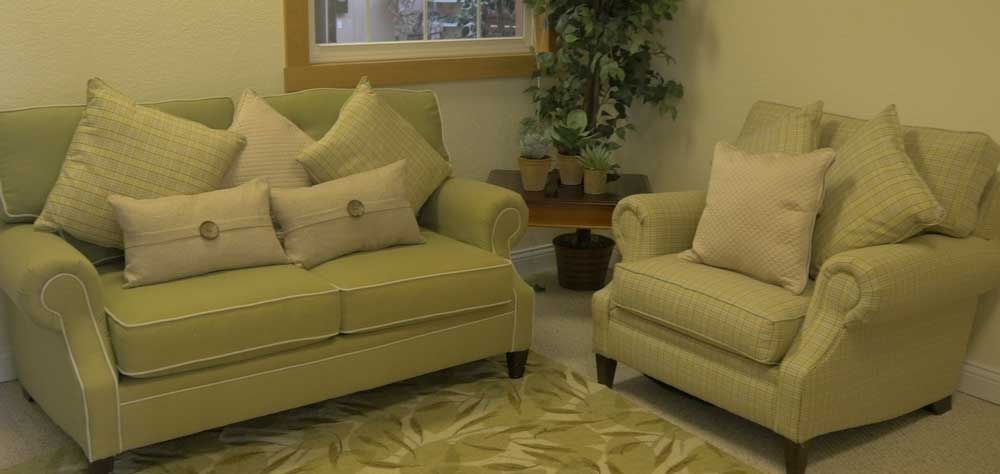 A cozy living room featuring a green sofa set, decorative cushions, an indoor plant, and a patterned rug.