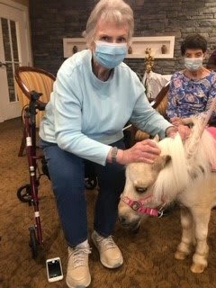 An elderly woman petting a miniature horse indoors, both wearing masks.