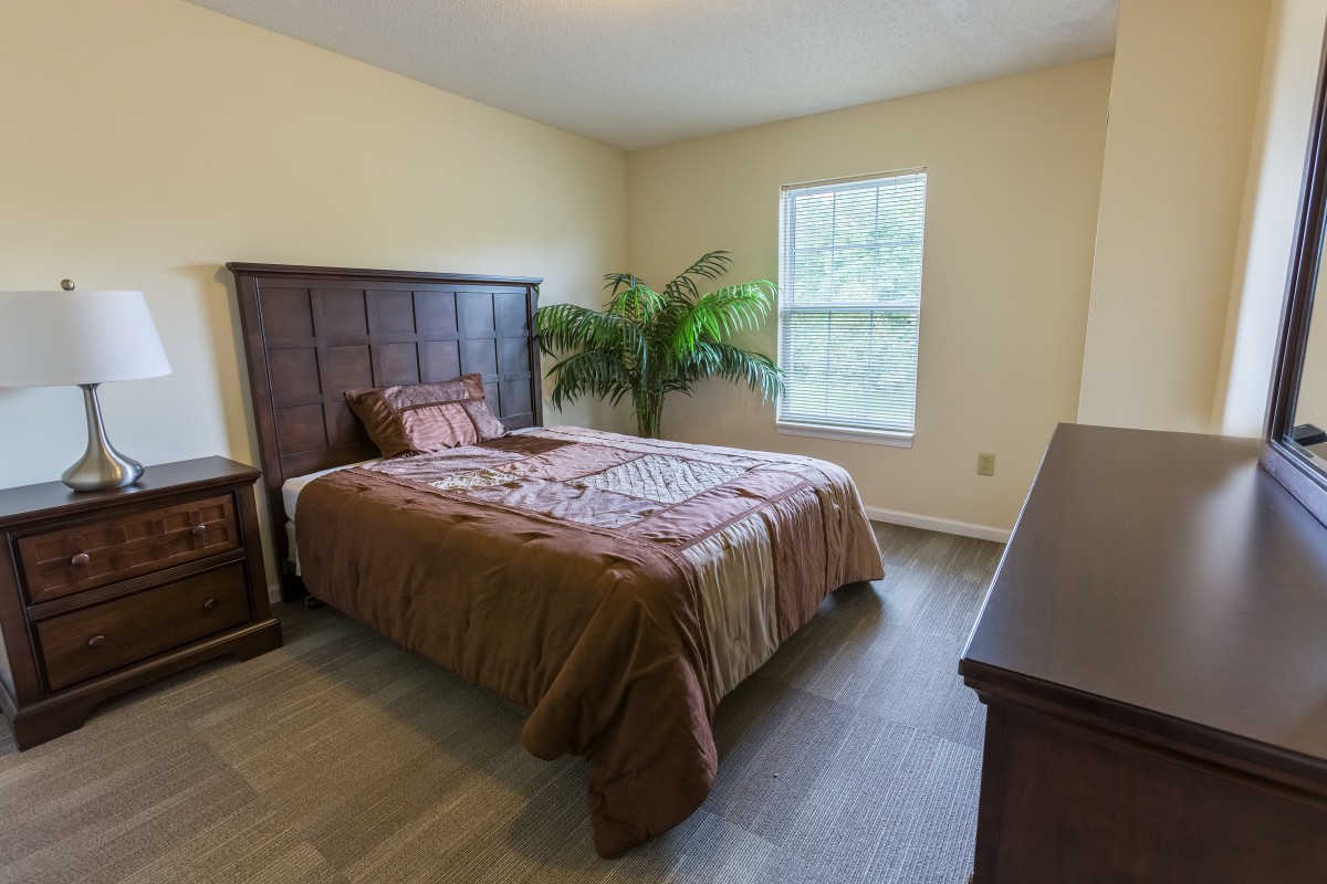 A cozy bedroom with a neatly made bed, a large plant, and ample natural light from the window.