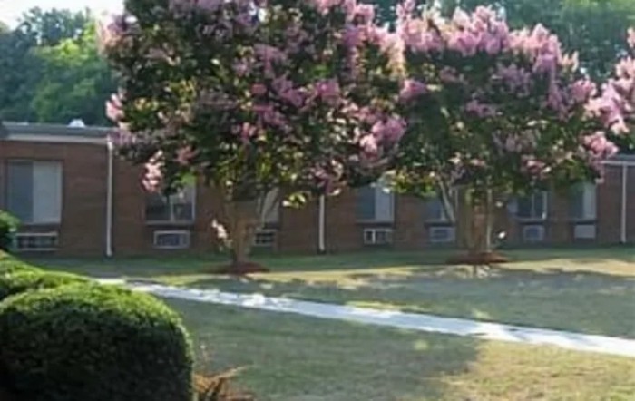 Universal Health Care - Greenville