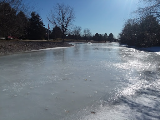 A serene winter scene featuring a frozen body of water surrounded by trees under a clear blue sky.