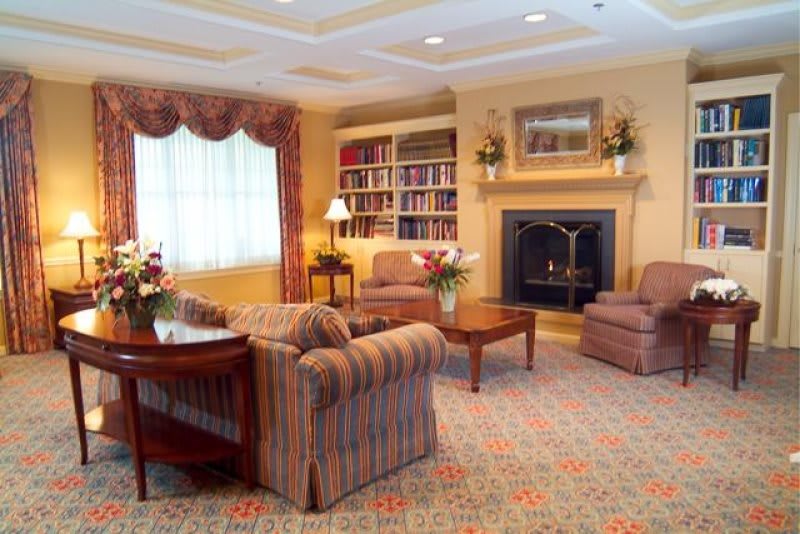 A cozy living room with a fireplace and bookshelves.