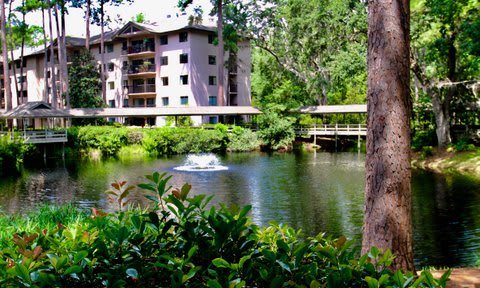 A serene view of a building surrounded by lush greenery and a pond with a fountain.