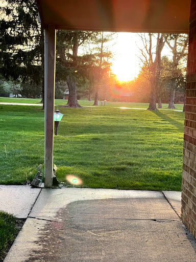 A serene view of the sunset through a grassy area framed by trees.