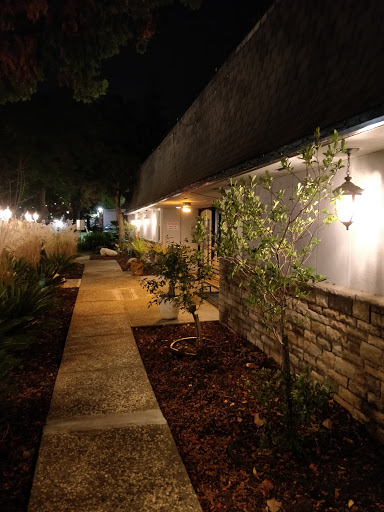 A serene nighttime view of a well-lit pathway bordered by lush greenery.