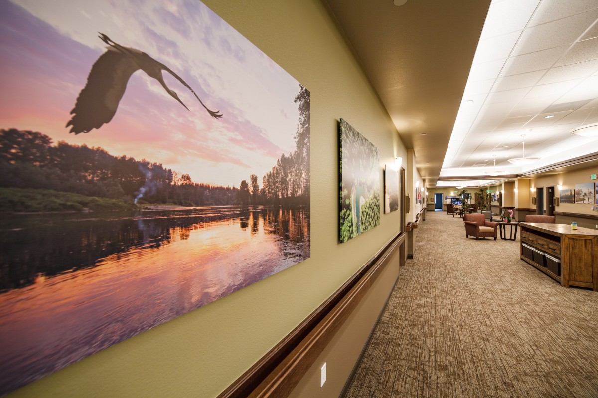 A well-lit hallway adorned with scenic nature photography on the walls.