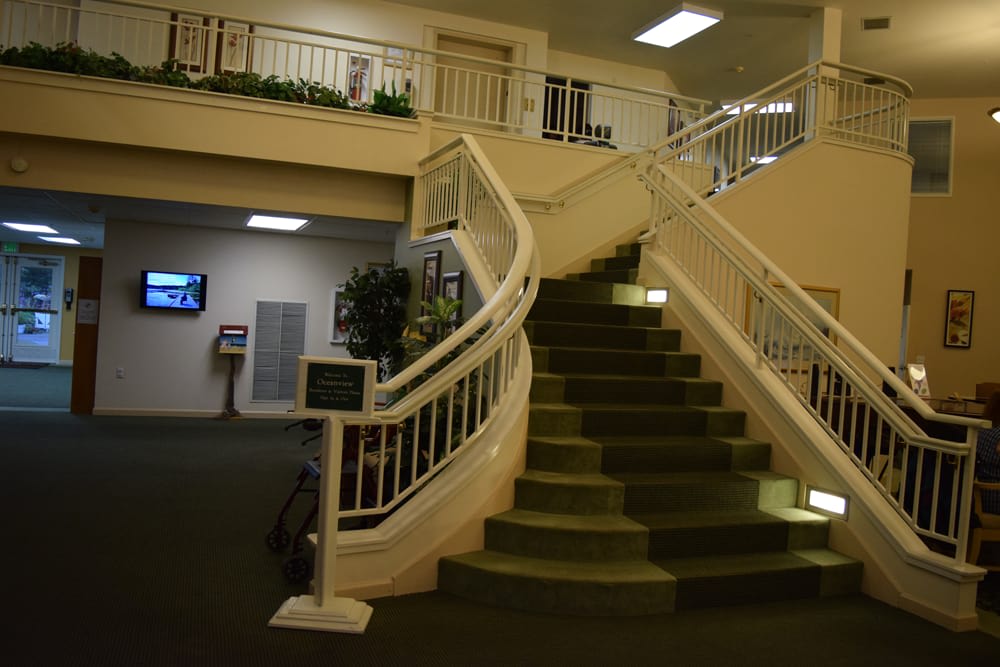 A carpeted spiral staircase inside a building with white railings and plant decorations.