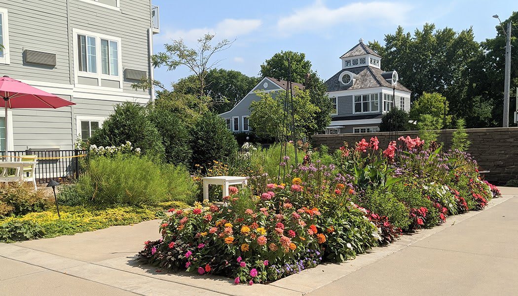 A vibrant garden filled with colorful flowers in front of charming houses.