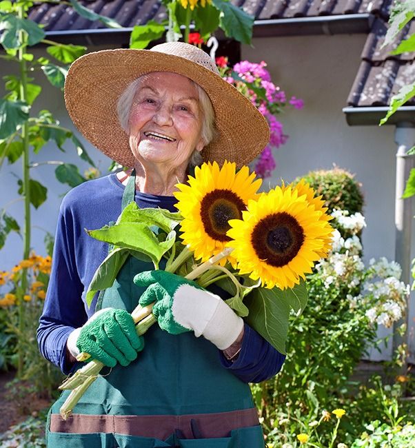 An elderly woman wearing a sun hat and gloves, smiling while holding a bouquet of sunflowers in her garden.