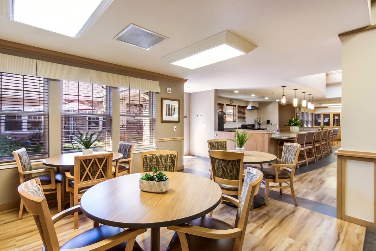 A modern dining area with wooden tables and chairs, adorned with potted plants and illuminated by overhead lighting.