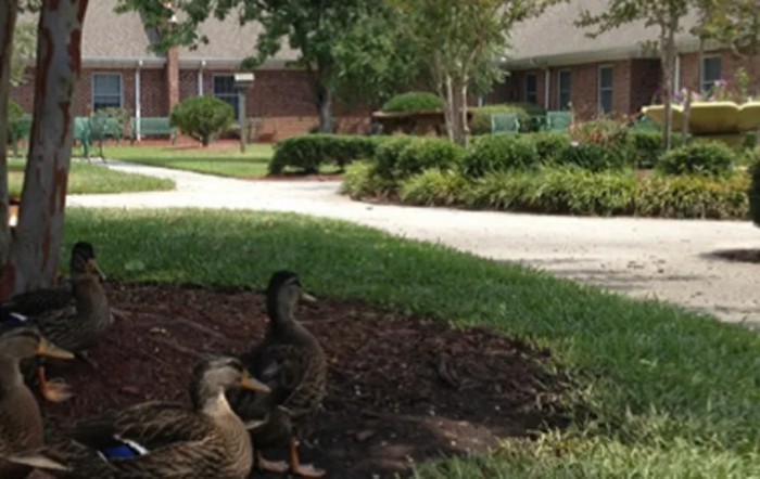 Northchase Nursing And Rehabilitation Center