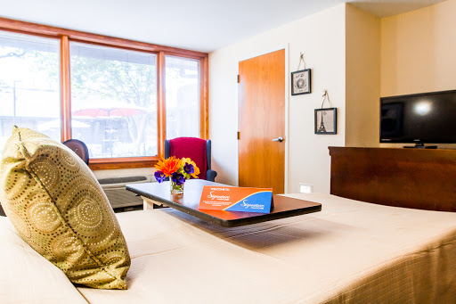 A stylish hotel room with modern decor and a cozy atmosphere.