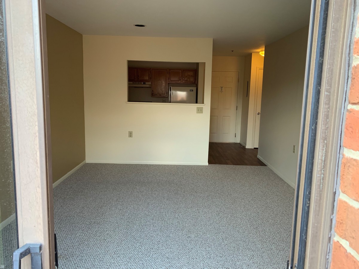 An empty living room with a carpeted floor and neutral color scheme in an apartment.