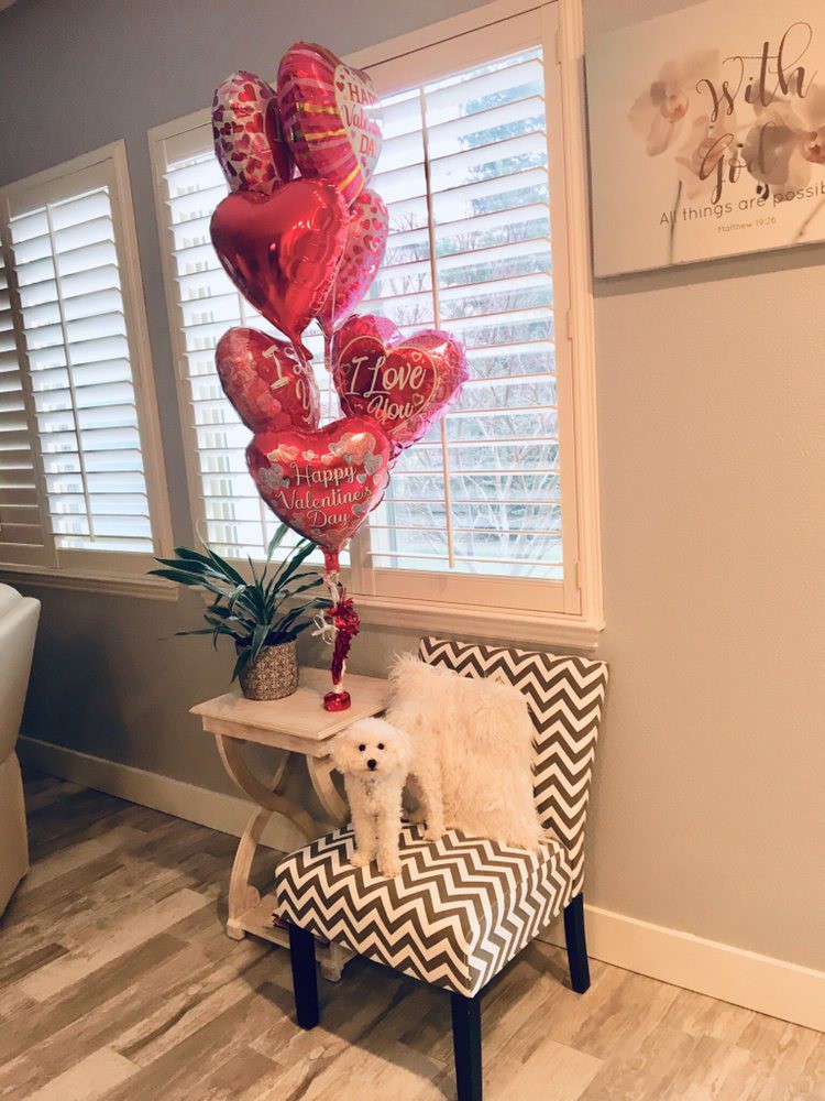 A small dog sits on a zig-zag patterned chair next to heart-shaped balloons in a cozy room.