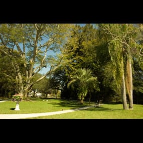 A serene park with lush green trees and a winding pathway.