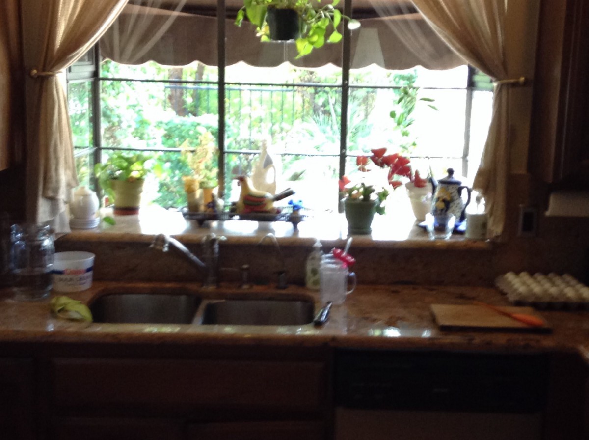 Lake View Retirement Villa