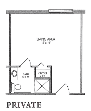 A simple floor plan featuring a living area and a small bathroom with a closet.