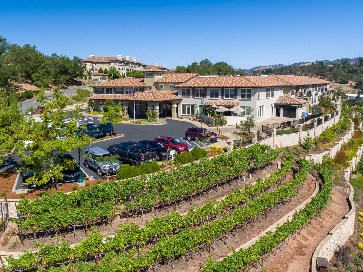 A scenic view of a vineyard with buildings in the background under a clear blue sky.