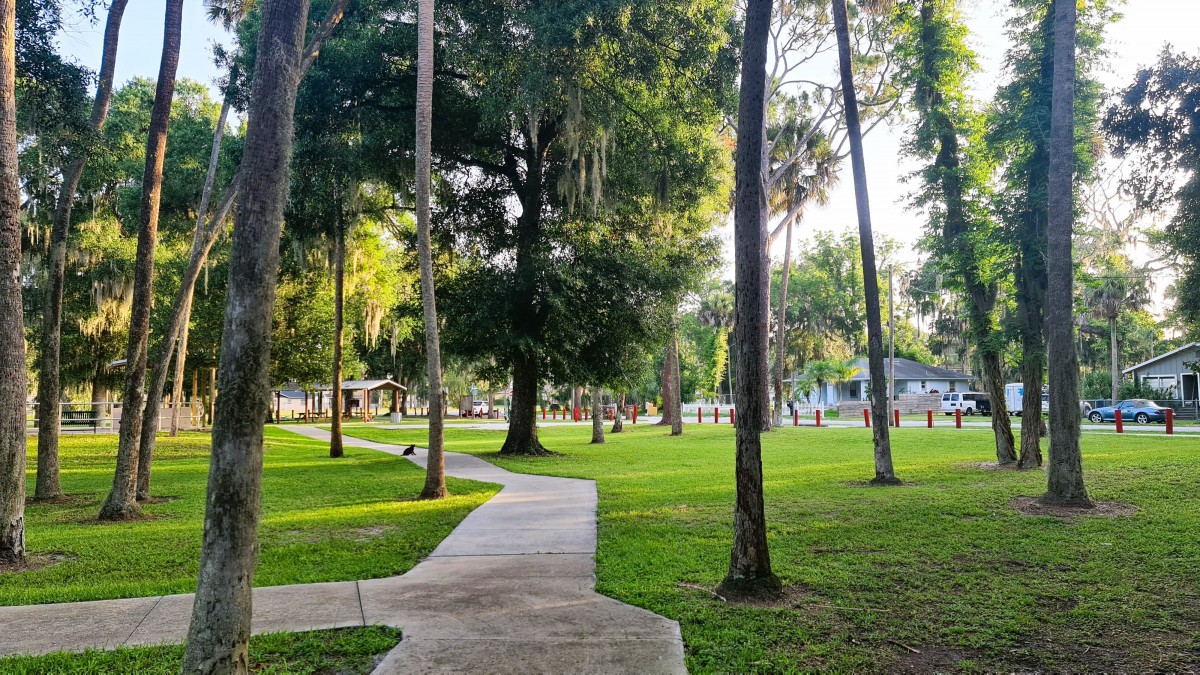 A serene park scene with a winding pathway surrounded by lush trees and greenery.