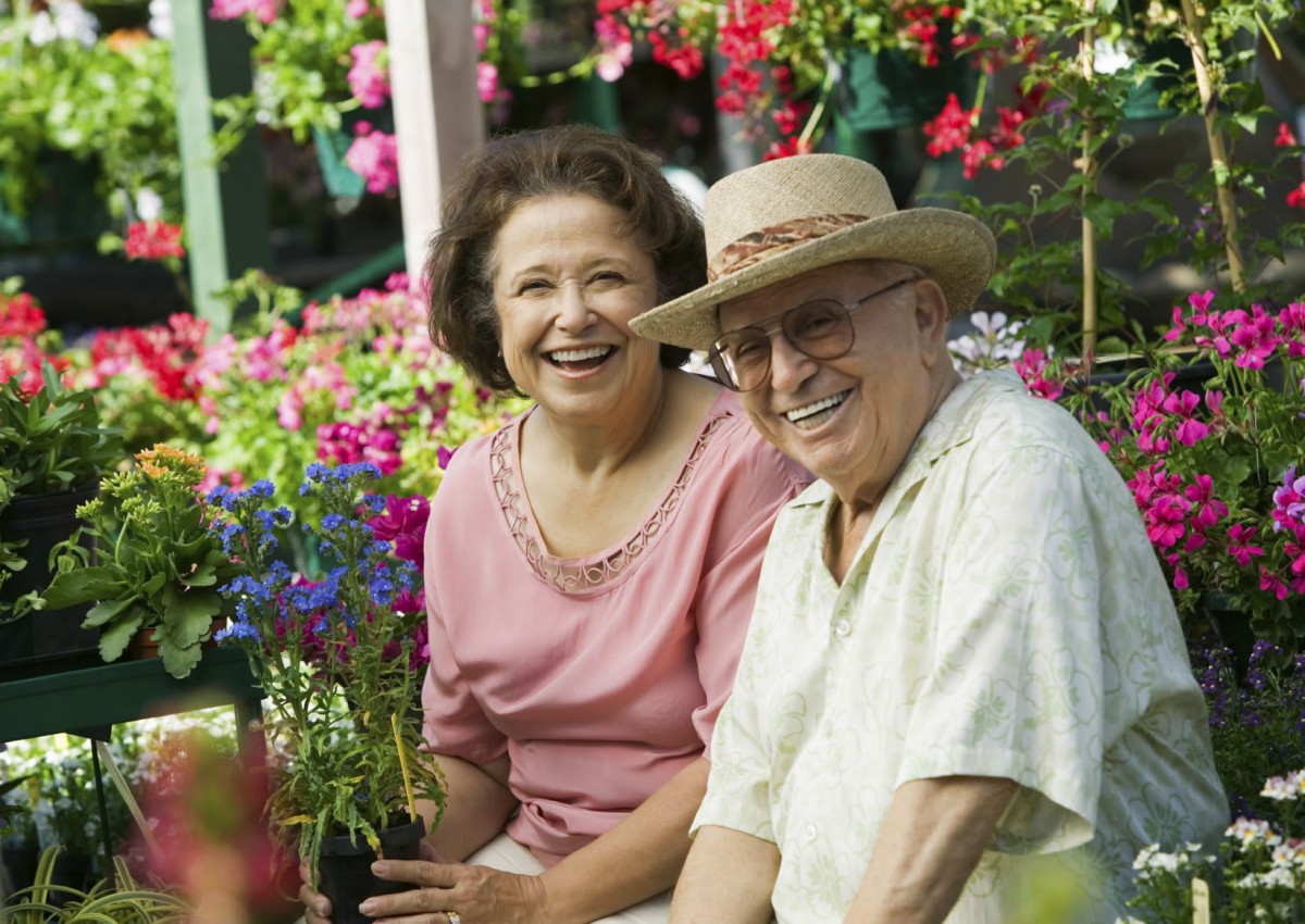 An elderly couple enjoying gardening amidst colorful flowers.