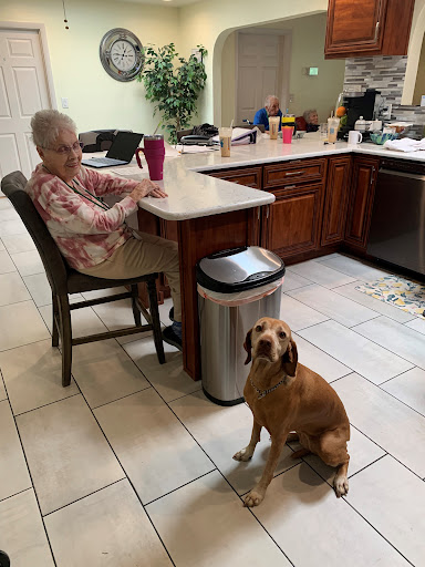 An elderly person enjoys a moment in the kitchen while a loyal dog sits nearby.