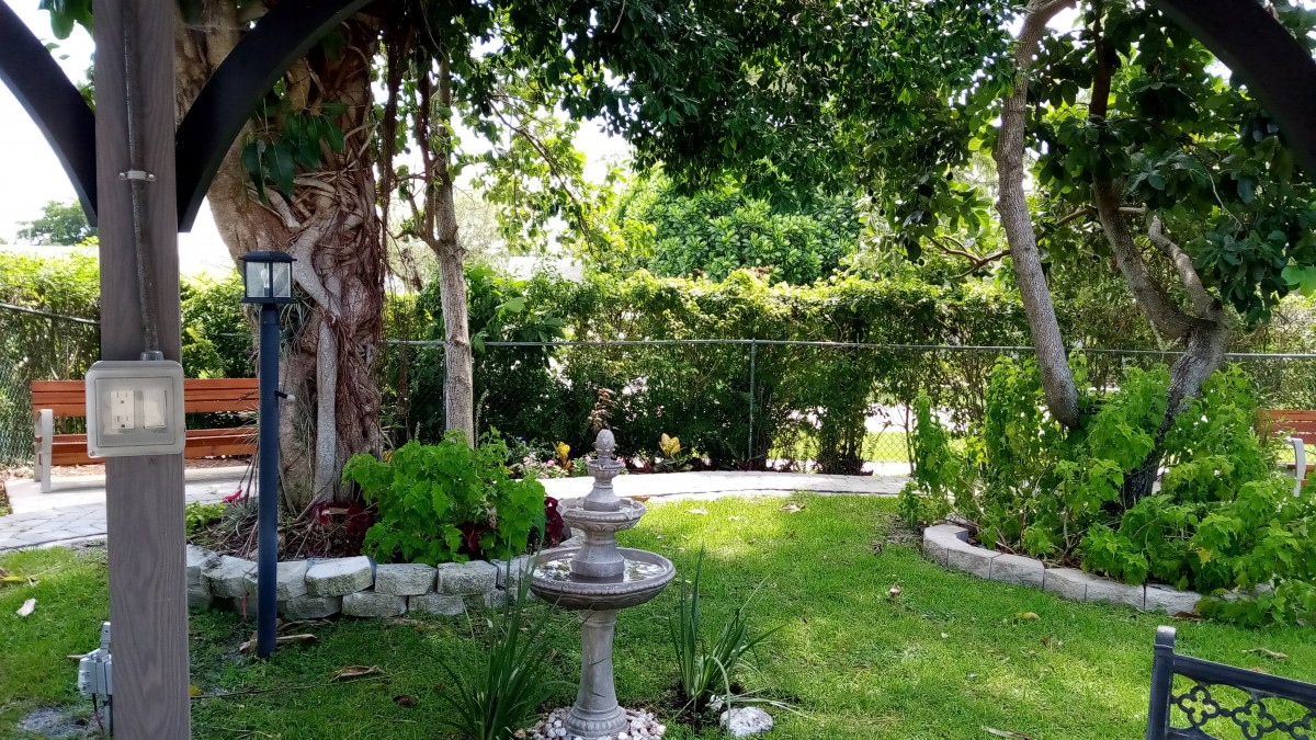 A serene garden with a stone fountain surrounded by lush greenery and trees.