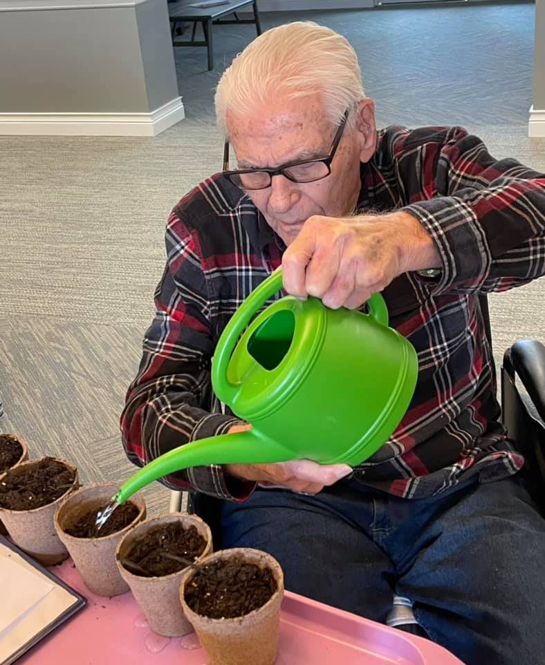 A senior person watering small plant pots with a green watering can.