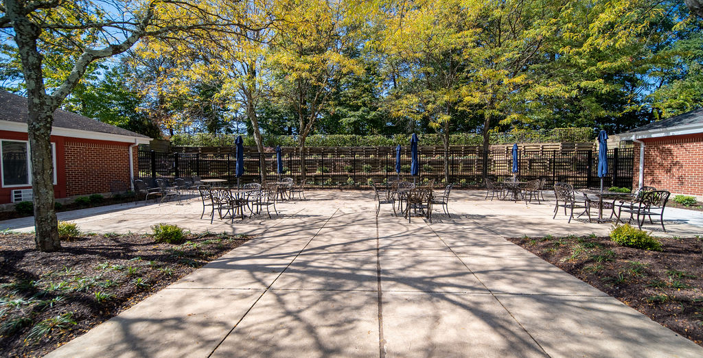 A sunny outdoor patio with tables and chairs, surrounded by trees and a fence.
